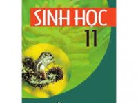 SINH HOC 11
